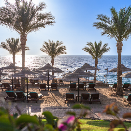 An Egyptian Honeymoon - Sharm El Sheikh